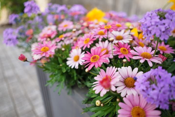 7CAFE 24mm F2.8 GAF2.8A1/160bAISO100AzCgoXFI[giDݒF͋CDjANGCeBuX^CFX^_[hADWIveB}CU[FI[gAcȎ␳FI[gA{F␳FI[gAӌ␳FI[gAJPEGBeʐ^i6000×4000A10.6MBj