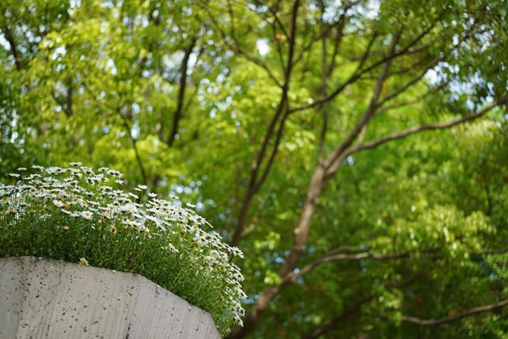 7CAFE 40mm F2.5 GAF2.5A1/250bAISO100AzCgoXFI[giDݒFWjANGCeBuX^CFX^_[hADWIveB}CU[FI[gAcȎ␳FI[gA{F␳FI[gAӌ␳FI[gAJPEGBeʐ^i6000×4000A14.4MBj