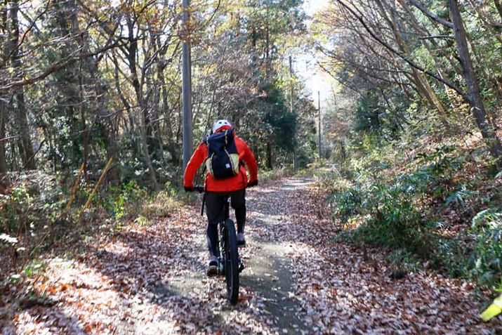 gCɌܑHo蓹BЂƑƂ̃gN͊mɏ̂́Ay_񂷃PCfX߂΃Nɐił