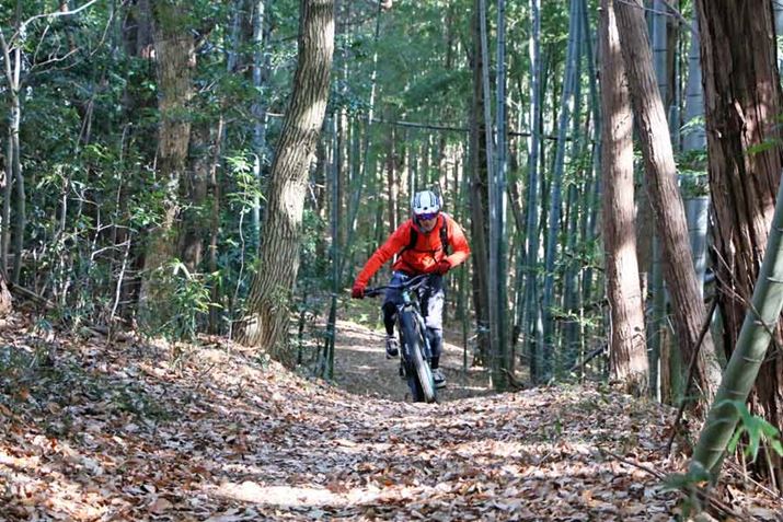 Ƃo邾ł|IɌyʂȎԑ̂̃bgis̗lq͉̓Ń`FbNIj