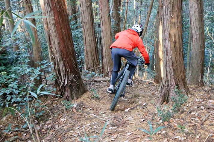 Ȃ獶Eɓ|ޑ삪₷AxoĂ肵Ă