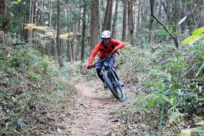 ɁAʐ^̂悤ɕGCɓȂԑ̂|삪₷BdʃoXłȂAt[`Ȃǂe镔