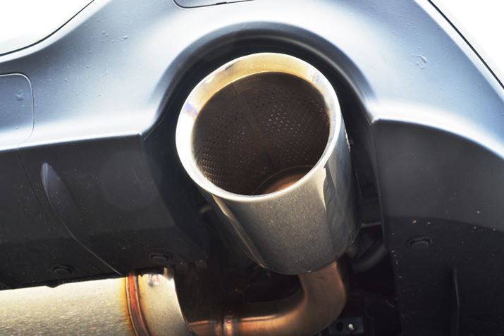 V^uBRZvɑĂuSTIptH[}X}t[v́AGW񂵂Ƃ̉F̂悳ɂĊJꂽƂ