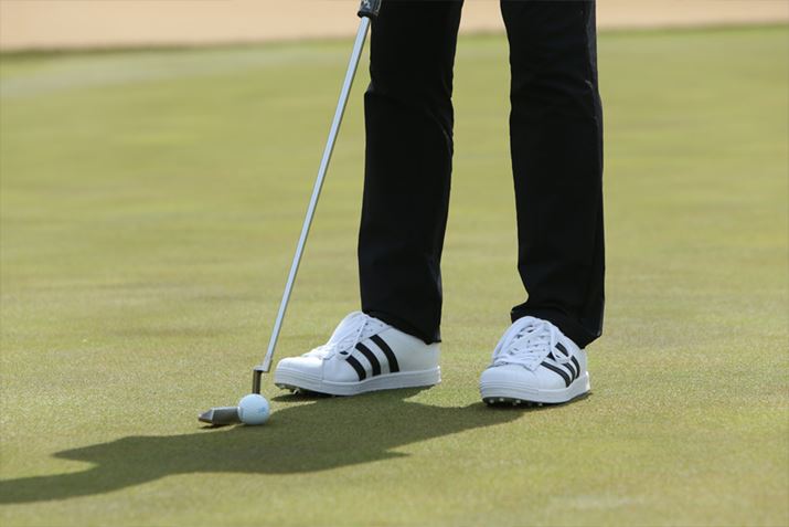 pC[WBXg[ĝ܂܂̃JWA܂ƂƂł܂