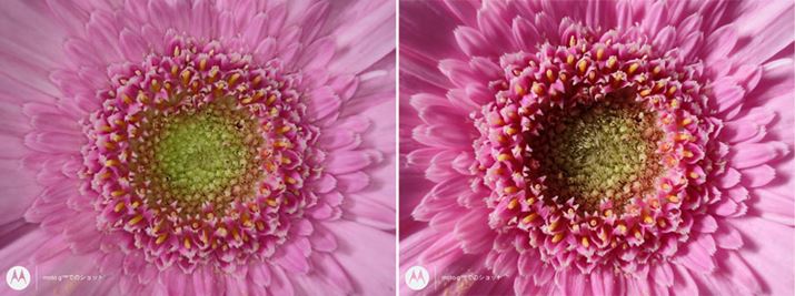 OCgIAEOCgItBʑ̂D݂ɉĎgꂻ