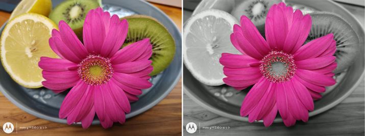 moto gV[Ył͂Ȃ݂̃X|bgJ[[hBԂ̃sNcămNɎdグ