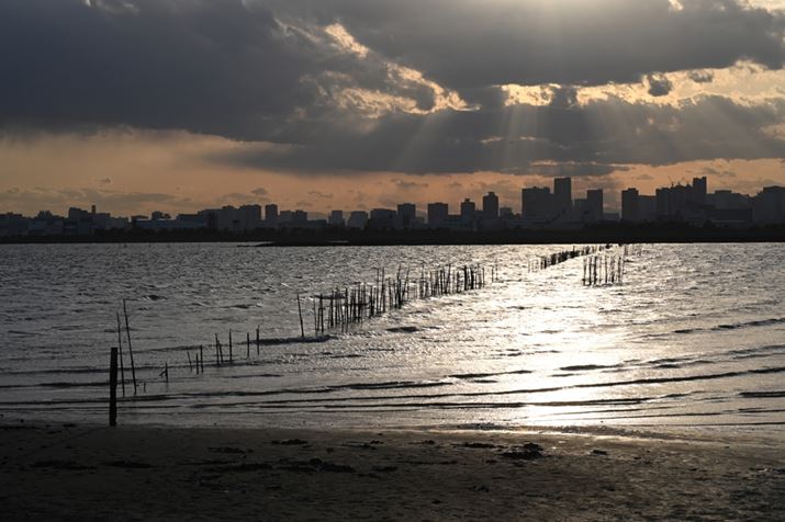 Z 6IIANIKKOR Z 24-70mm f/4 SA70mmAF14A1/250bAISO100AWBFRI[gAsN`[Rg[FX^_[hAANeBuD-CeBOFI[gABlbgRg[FWAܕ␳FA䂪ݕ␳FAJPEGBeʐ^i6048×4024A13.4MBj