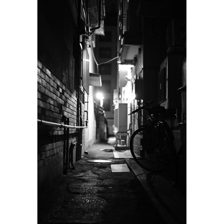 Z 6IIANIKKOR Z 50mm f/1.8 SAF1.8A1/10bAISO800AWBFI[g1AsN`[Rg[FmN[AANeBuD-CeBOFI[gABlbgRg[FWAܕ␳FA䂪ݕ␳FAJPEGBeʐ^i4024×6048A7.7MBj