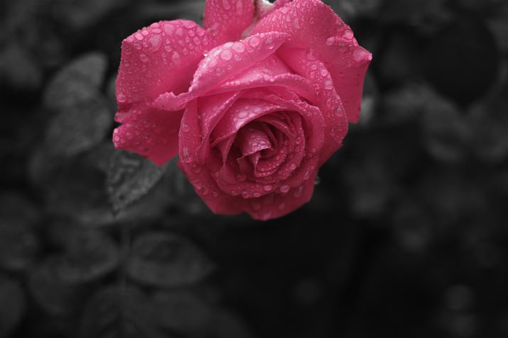 K-3 Mark IIIAHD PENTAX-DA 40mmF2.8 LimitedA40mmi35mmZ61mmjAISO100AF2.8A1/60bAzCgoXFI[gAJX^C[WFciFO[jAfW^tB^[FFoA_Ci~bNW␳FI[ginCCg␳AV[h␳ƂjAӌʕ␳FI[gAfBXg[V␳FIA{F␳FIAܕ␳FIAtW␳FItAJPEGBeʐ^i6192×4128A6.3MBj