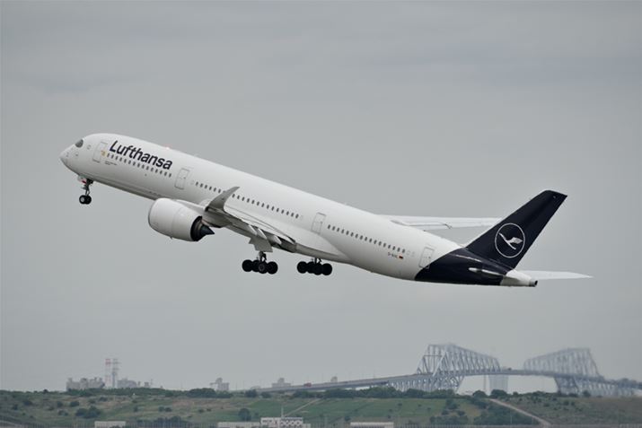 AF̃eXg˂ĎBeBgpYHD PENTAX-DA 55-300mmF4.5-6.3ED PLM WR RE ŁAȐݒ͏œ_230mmi35mmZ355mmjAISO400AF8A1/1250bAzCgoXFI[gAJX^C[WFi`Beʐ^i6192×4128A11.1MBj