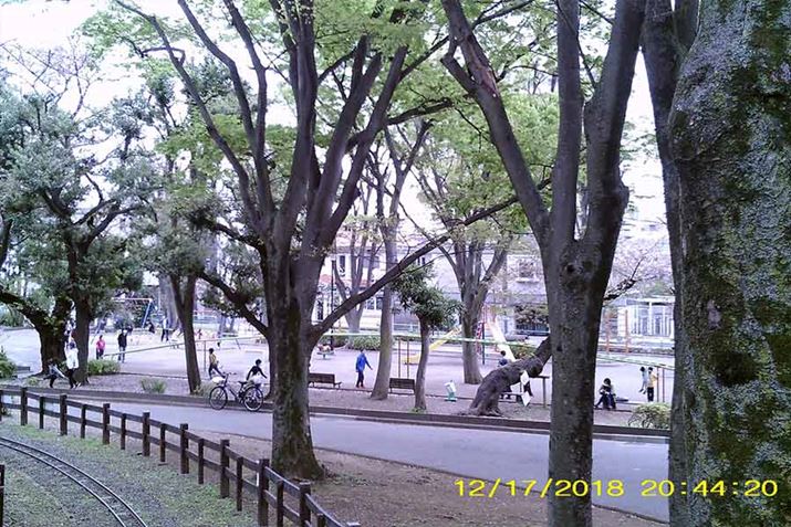 ȐSz悻ɁAiCXVbg2ځBtɎvyācc邩ǂ͂킩Ȃ