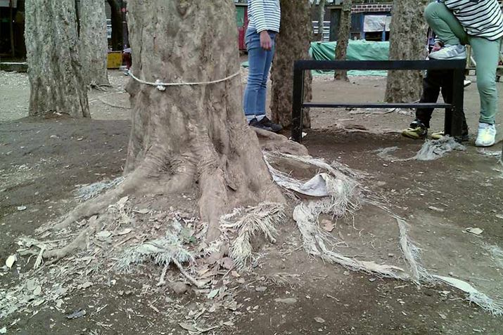 u[IvƔȂBꂽ3ځBˁA؂ˁBit͂񂪏Ă܂j