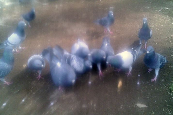 ڂ₯ngiƂ񂪂R[̖ŃY܂Ă܂j