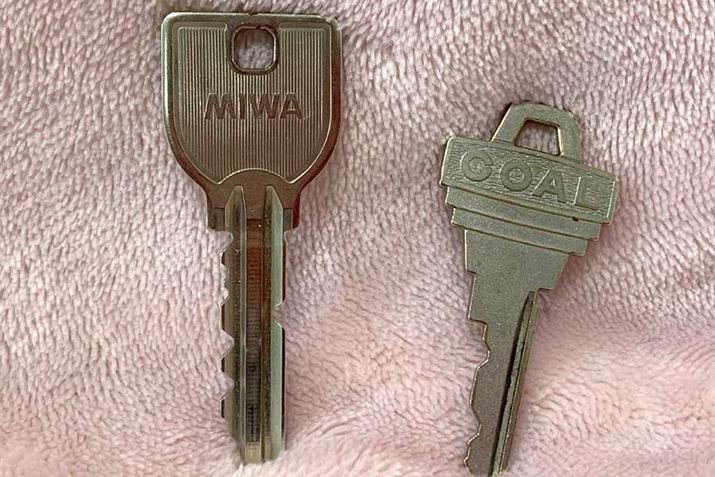 abNЂ̃JMɂ́AMIWAƍ󂪂܂BcOȂAGOALALPHAȂǁAЂ̃JMł͎gpł܂