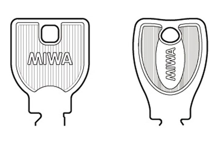 abNЂ̃JMŁA蕔f̌`̂̂Ɏt\ł