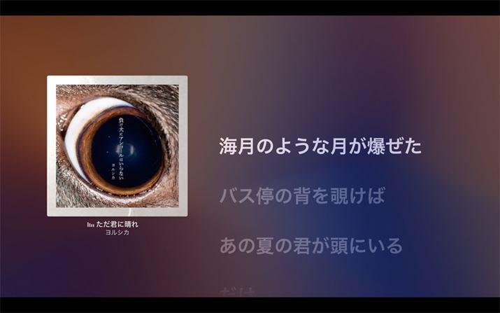 yĐ̉ʁB̎傫\̂ŁAJIP̂悤Ɋy߂