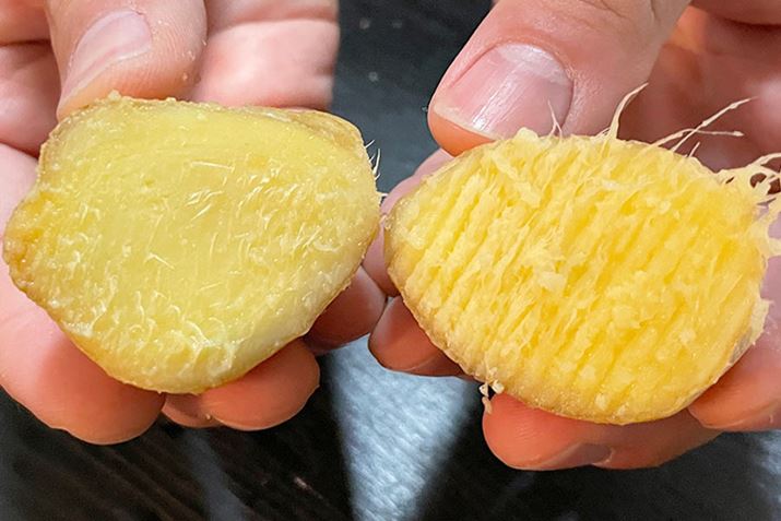 ʓIȂ낵iEjƔׂāAGo[낵ijł낵VEK̖ʂ͂ő@ۂcĂȂ