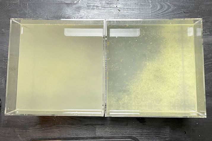 ォ猩ƁAGo[낵ł낵VEK͑S̓IɍĂ邱Ƃ킩ij