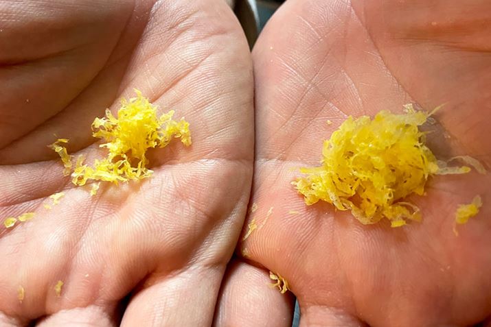 ʓIȂ낵ijƃGo[낵iEj