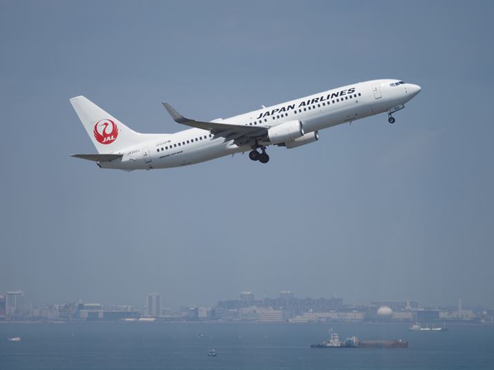 E-M1XAM.ZUIKO DIGITAL ED 150-400mm F4.5 TC1.25x IS PROA195mmi35mmZ390mmjAISO200AF4.5A1/2000bAzCgoXFI[gAsN`[[hFNaturalAKFWAnCCgVhERg[F-1 ԕ-3 Õ-1AJPEGBeʐ^i5184×3888A7.5MBj