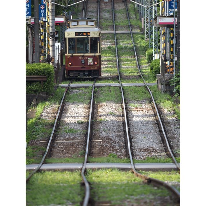 E-M1XAM.ZUIKO DIGITAL ED 150-400mm F4.5 TC1.25x IS PROA335mmi35mmZ670mmjAISO100AF4.5A1/125bAzCgoXFI[gAsN`[[hFi-FinishAKFWAJPEGBeʐ^i3888×5184A11.7MBj