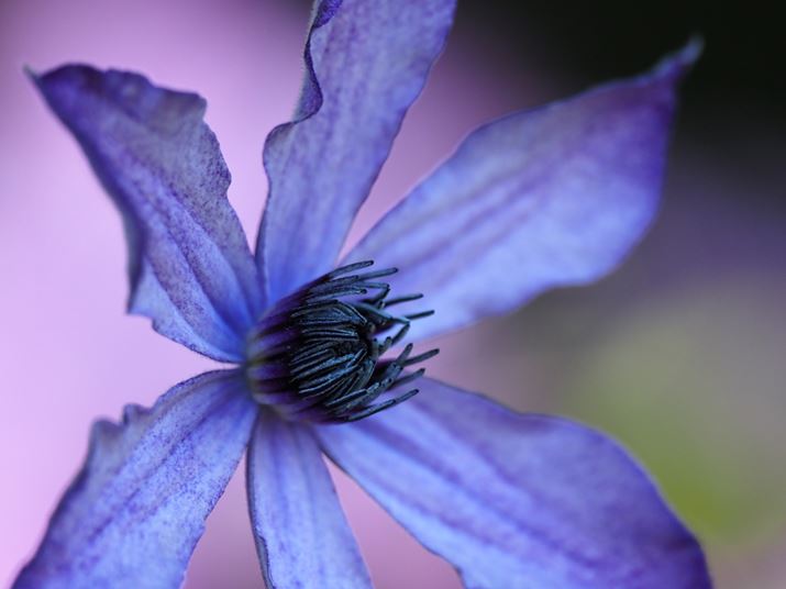 E-M1XAM.ZUIKO DIGITAL ED 150-400mm F4.5 TC1.25x IS PROA400mmi35mmZ800mmjAISO800AF4.5A1/800bAzCgoXFI[gAsN`[[hFi-FinishAKFWAJPEGBeʐ^i5184×3888A10.0MBj