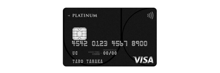 UCv`iJ[hBNF16,500~AۃuhFVisaAt^|CgFUC|CgAҌF1