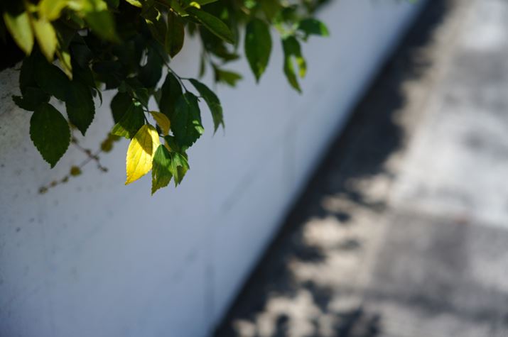 fp LA28-70mm F2.8 DG DNA52mmAISO100AF2.8A1/1250bAzCgoXFI[gAJ[[hFX^_[hAJPEGBeʐ^i9520×6328A24.2MBj