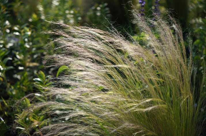 fp LA28-70mm F2.8 DG DNA70mmAISO100AF2.8A1/800bAzCgoXFI[gAJ[[hFj[gAJPEGBeʐ^i9520×6328A36.5MBj