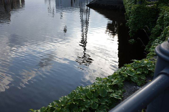 fp LA28-70mm F2.8 DG DNA35mmAISO100AF6.3A1/125bAzCgoXFI[gAJ[[hFj[gAJPEGBeʐ^i9520×6328A24.7MBj