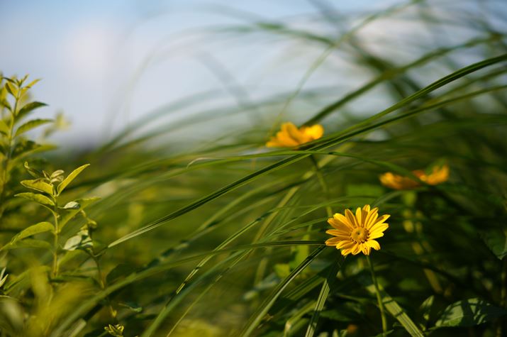 fp LA28-70mm F2.8 DG DNA70mmAISO100AF2.8A1/1250bAzCgoXFI[gAJ[[hFX^_[hAJPEGBeʐ^i9520×6328A24.9MBj