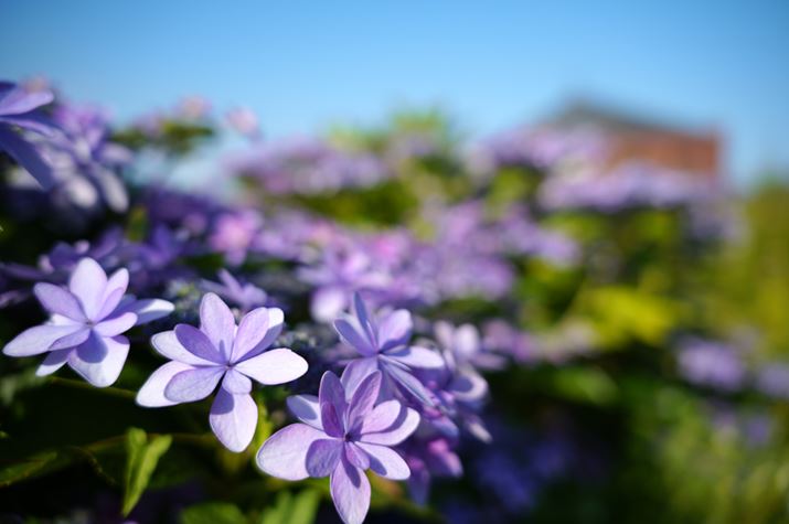 fp LA28-70mm F2.8 DG DNA28mmAISO100AF2.8A1/1250bAzCgoXFI[gAJ[[hFX^_[hAJPEGBeʐ^i9520×6328A23.2MBj