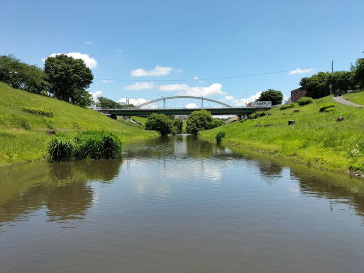 ʂ]ތiFŎBeBNĂ邪ACȂiĥdオƂȂ