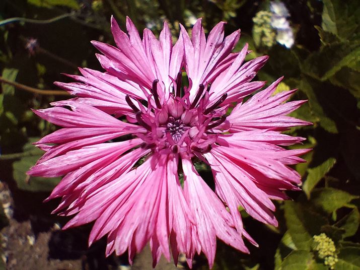 O}MNڎʁBŗhĂAVb^[xmۂĂAʑ̃uNBeł