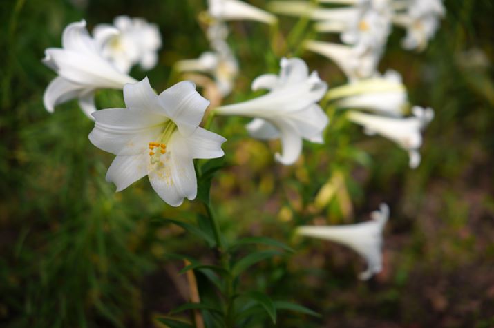 fp LA28-70mm F2.8 DG DNA70mmAISO100AF2.8A1/400bAzCgoXFI[gAJ[[hFX^_[hAJPEGBeʐ^i9520×6328A24.1MBj