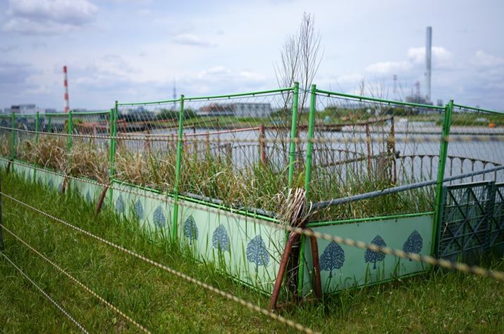 fp LA35mm F1.4 DG DNAISO100AF1.4A1/8000bAzCgoXFI[gAJ[[hFX^_[hAJPEGBeʐ^i6328×9520A32.3MBj