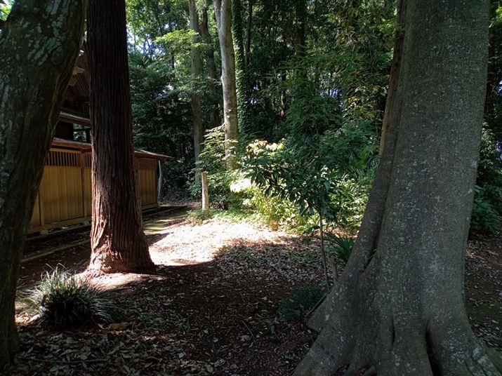 ؘRBeBÍ̑傫ȍ\}AnCCgтĂBV[ňЗ͂𔭊HDR@\邪AHDR𗘗pꍇA[U[Őݒ肪KvƂȂ