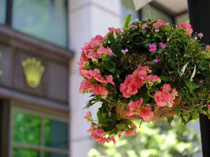 ɒ݂艺ꂽԁBԂт̃Of[V̔ȃg[ČĂFUJIFILM GFX100SAFJINON GF45-100mmF4 R LM OIS WRA100mmi35mmZ79mmjAISO320AF4A1/170bBeʐ^i11648×8736A47.3MBj