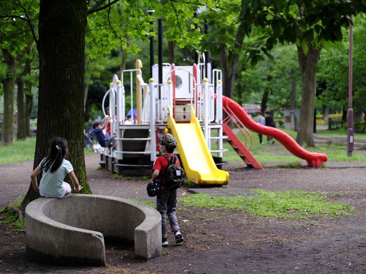 ɂ킩JオAlHIȗV̔FƖ؁X̗΂̎RȐF̕`܂FUJIFILM GFX100SAFJINON GF45-100mmF4 R LM OIS WRA100mmi35mmZ79mmjAISO320AF4A1/160bAAdobe PhotoshopgpBeʐ^i11648×8736A15.3MBj