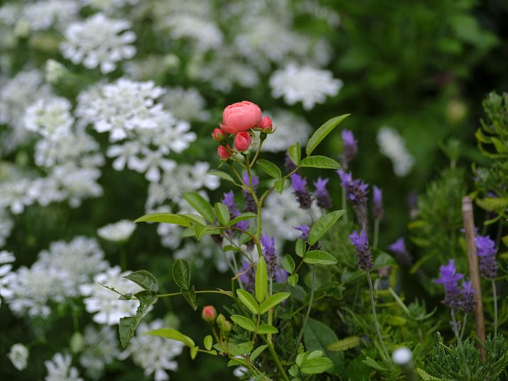 }N@\͂Ȃ][ŎBΔwi{PĎÕoオFUJIFILM GFX100SAFJINON GF45-100mmF4 R LM OIS WRA100mmi35mmZ79mmjAISO100AF5A1/125bBeʐ^i11648×8736A40.6MBj