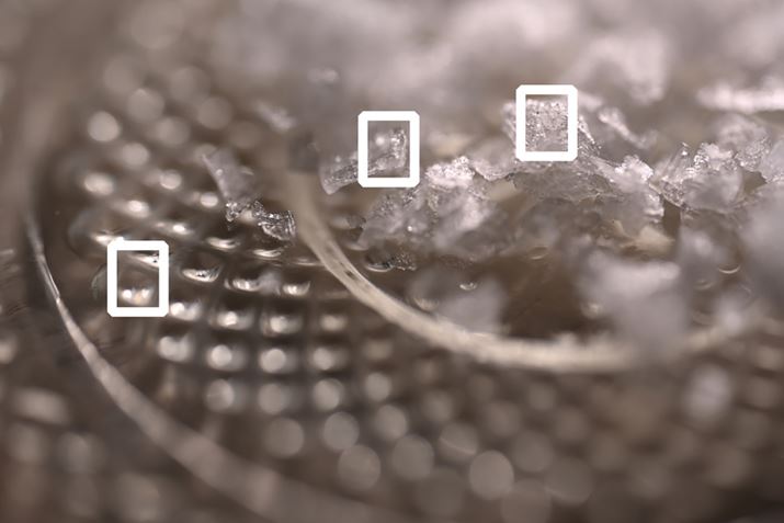 ̂KXM𓙔{ŎBeBBeݒ͍iJiNIKKOR Z MC 105mmF4.5AAF-S VR Micro-Nikkor 105mmF4.8jAISO64A1/200bAWBFFuAsN`[Rg[FX^_[hAANeBuD-CeBOFȂABlbgRg[FWAܕ␳FA䂪ݕ␳FBg̕ȉɌfڂ؂oɂȂ܂