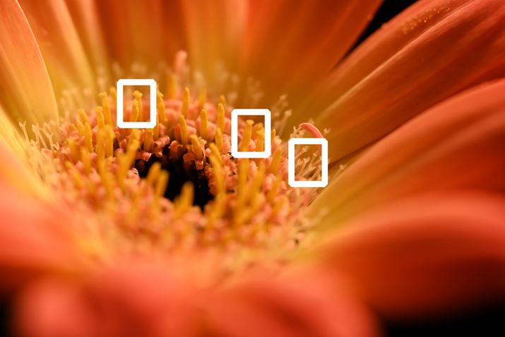 ԁiK[xj𓙔{ŎBeBBeݒF8AISO64A1/30biAF-S VR Micro-Nikkor 105mm1/50bjAWBFI[g1AsN`[Rg[FX^_[hAANeBuD-CeBOFȂABlbgRg[FWAܕ␳FA䂪ݕ␳FBg̕ȉɌfڂ؂oɂȂ܂