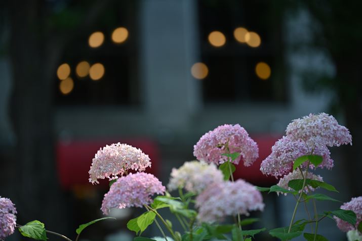 Z 7IIANIKKOR Z MC 105mm f/2.8 VR SAF2.8A1/200bAISO64AWBFI[g1AsN`[Rg[FX^_[hAJPEGBeʐ^i8256×5504A16.5MBj