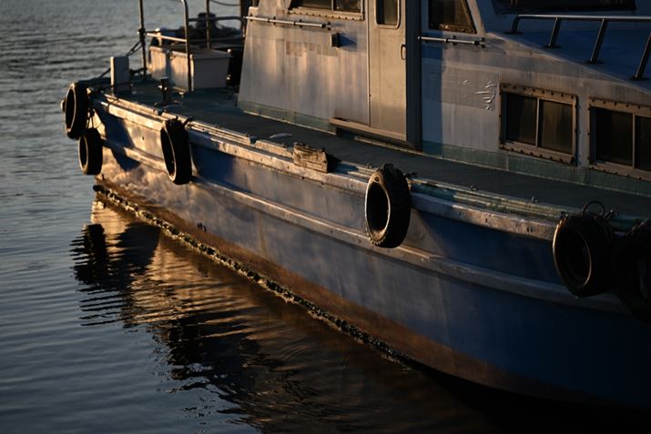 Z 7IIANIKKOR Z MC 105mm f/2.8 VR SAF2.8A1/1600bAISO64AWBFI[g1AsN`[Rg[FX^_[hAJPEGBeʐ^i8256×5504A18.3MBj