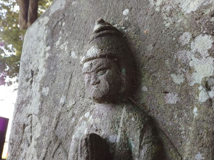 ΑBeBÍ̑傫ȍ\}A\}[̃nCCgɋUFĂ