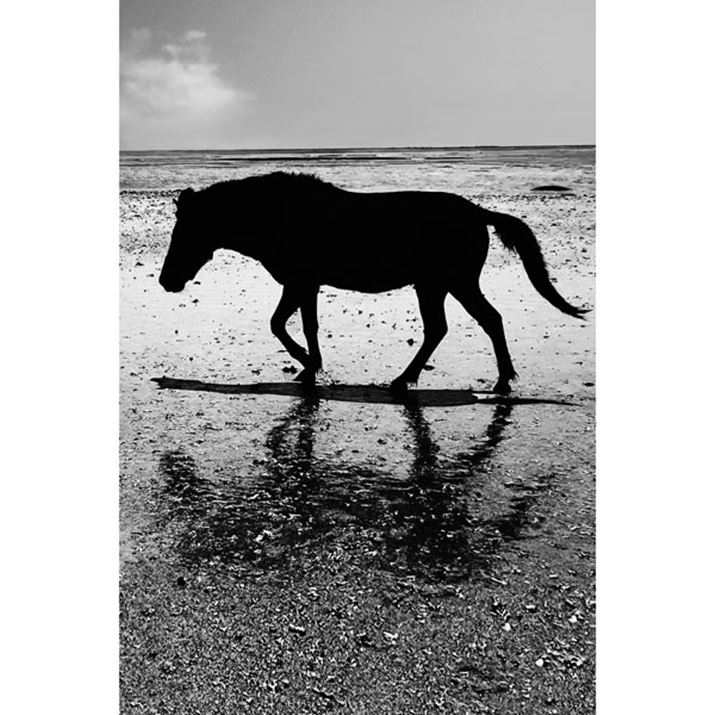 uLeitz Looksv[hł̎BeBCJ̓ӂƂ閡̂郂mNBeyɍČł