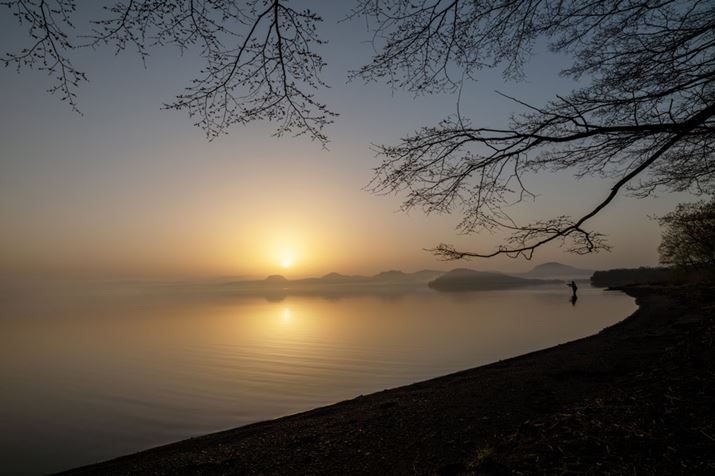 Ă̌΁BRgXg̍\}A̊KۂĂ