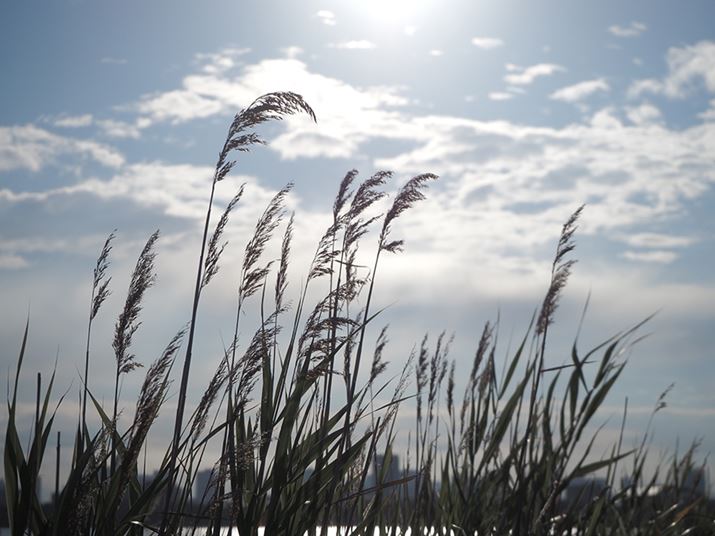 PEN E-P7AM.ZUIKO DIGITAL ED 14-42mm F3.5-5.6 EZA42mmi35mmZ84mmjAISO200AF5.6A1/4000bAzCgoXFI[gAJ[vt@CRg[FJ[vt@C4iNVbNtB \tgg[jAJPEGBeʐ^i5184×3888A7.2MBj