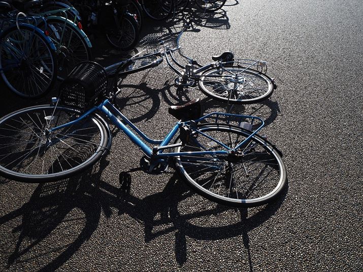 PEN E-P7AM.ZUIKO DIGITAL ED 14-42mm F3.5-5.6 EZA14mmi35mmZ28mmjAISO200AF6.3A1/640bAzCgoXFI[gAsN`[[hFNaturalAKFWAJPEGBeʐ^i5184×3888A13.5MBj