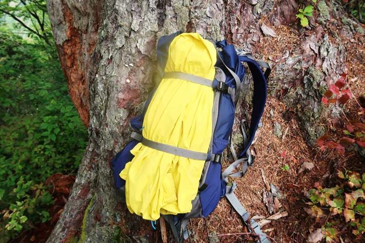 |Pbg̏̃Xgbv𗘗p΁AECEFAȂǂŒł